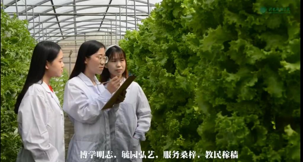 德赢vwin055招生宣传短片