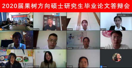 图片4 图片4