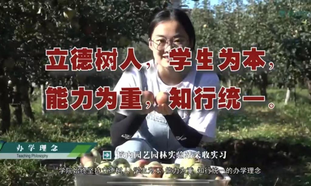 德赢vwin055宣传片